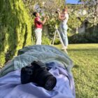 Click, Capture, Create - Photography 2 IMG 6284