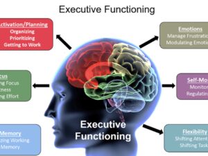 Executive Functioning Fridays