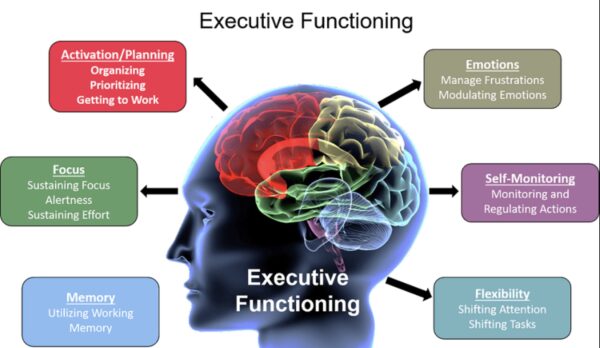 Executive Functioning Fridays 1 Image 11 24 25 at 4.02 PM