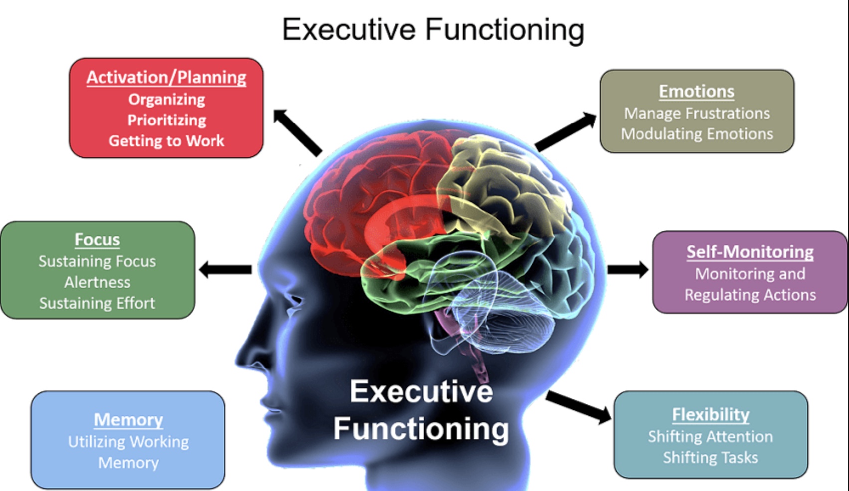 Executive Functioning skills course